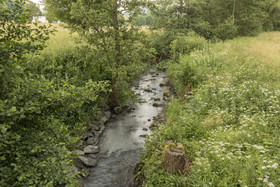 Naturmed Hotel Heckenmühle