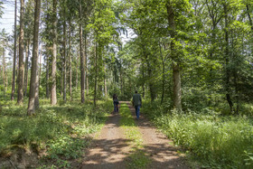 Naturmed Hotel Heckenmühle