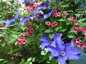 Parkhotel Am Schwanenteich