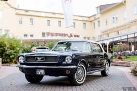 Parkhotel Krone