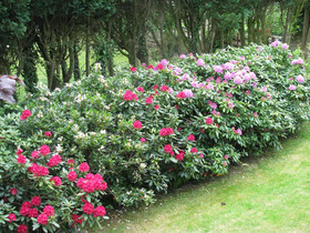 Ferienwohnungen Schlossblick