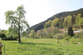 Gasthof Pension Zur Traube