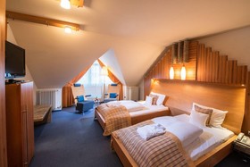 Göbel's Schlosshotel Prinz von Hessen