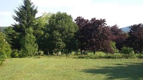 Schlossgarten