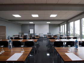 Design-Konferenzhotel & Restaurant Steinernes Schweinchen