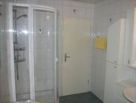 Roter Kater & Graue Katze