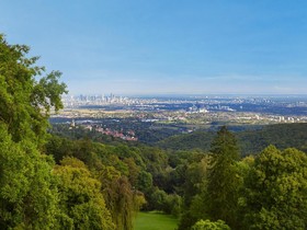 Falkenstein Grand, Autograph Collection