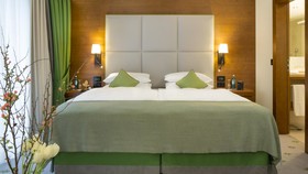 Hilton Frankfurt Gravenbruch