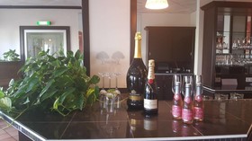 Stadt-gut-Hotel Britta's Parkhotel