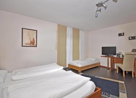 Hotel Lindenhof