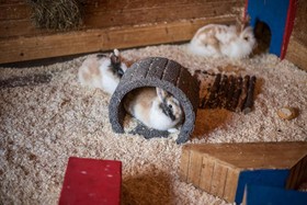 Göbel's Hotel Rodenberg