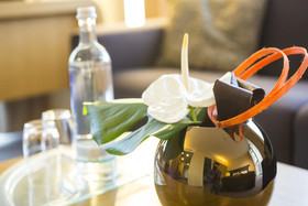 Lufthansa Seeheim - More Than A Conference Hotel