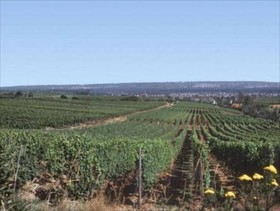 Kuehns Muehle Pension