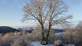 Friedrichs Ferienwohnungen