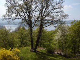 Friedrichs Ferienwohnungen