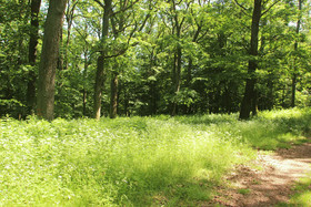 Friedrichs Ferienwohnungen