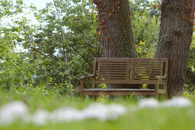 Friedrichs Ferienwohnungen