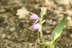 Friedrichs Ferienwohnungen