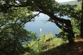 Friedrichs Ferienwohnungen