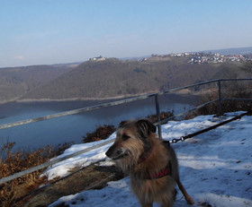 Friedrichs Ferienwohnungen