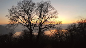 Friedrichs Ferienwohnungen