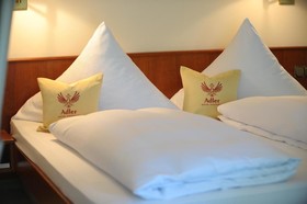 Hotel Gasthaus Adler