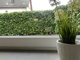 Ferienwohnungen Prestige