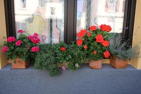 Stadthotel Kleiner Berg