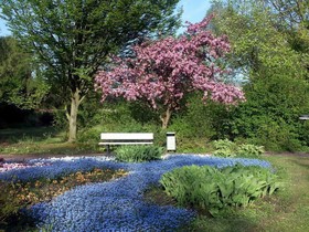 Am Kurpark