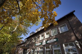 Heidekönig