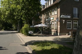 Heidekönig