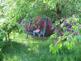 Ferienwohnungen Tewes