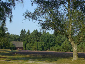 Ferienwohnungen Tewes