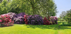 Ferienwohnungen Tewes