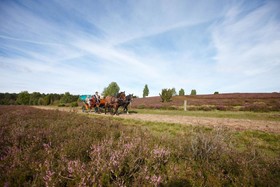 Best Western Hotel Heidehof