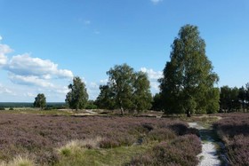 Hotel Im Wiesengrund