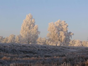 Hotel Im Wiesengrund