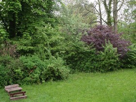 Appart am Friedrichspark