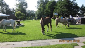 Kurhotel Strandhof