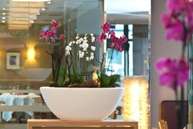 DoubleTree by Hilton Hannover Schweizerhof