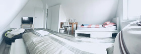Damm Apartments