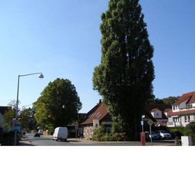 Hotel Alt Vinnhorst