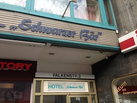 Schwarzer Bär