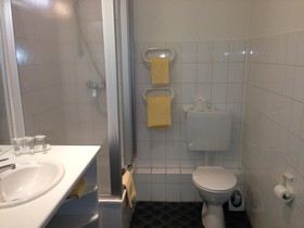 Schwarzer Bär