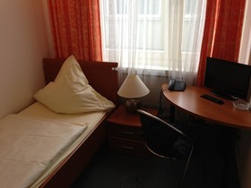 Schwarzer Bär