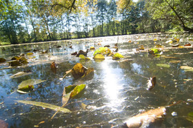Wassermühle Heiligenthal