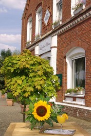 Hotel Landhaus Uttum