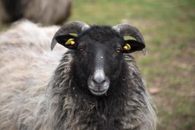 Landgasthaus Zur Eiche