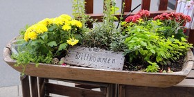 Hotel Schlaf Schöningen