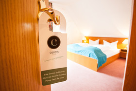 Hotel Alter Wolf